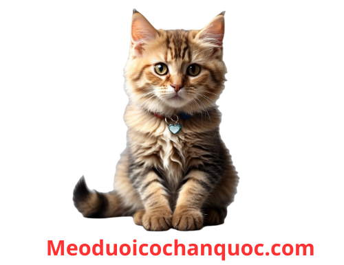 Meoduoicochanquoc.com 